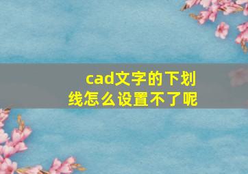 cad文字的下划线怎么设置不了呢