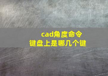 cad角度命令键盘上是哪几个键