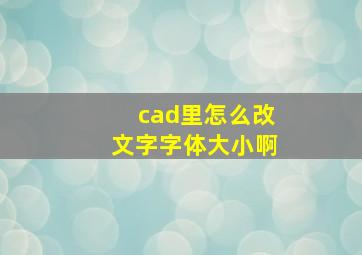 cad里怎么改文字字体大小啊