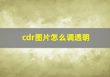 cdr图片怎么调透明