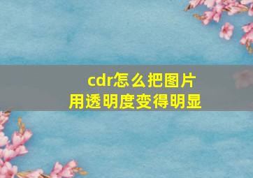 cdr怎么把图片用透明度变得明显