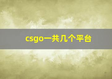 csgo一共几个平台