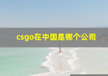 csgo在中国是哪个公司