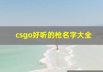 csgo好听的枪名字大全