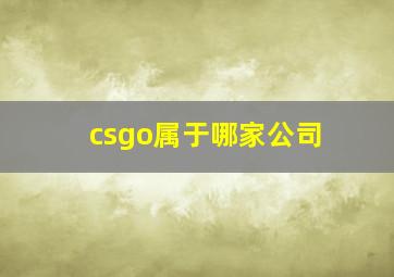 csgo属于哪家公司