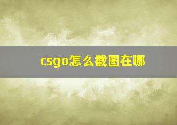 csgo怎么截图在哪