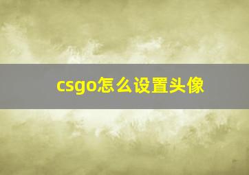 csgo怎么设置头像