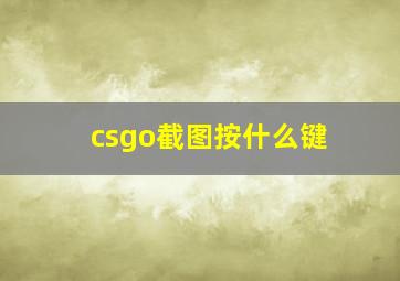 csgo截图按什么键