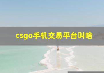 csgo手机交易平台叫啥