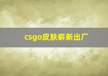 csgo皮肤崭新出厂