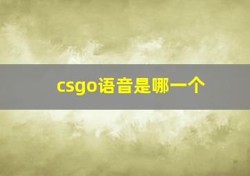 csgo语音是哪一个