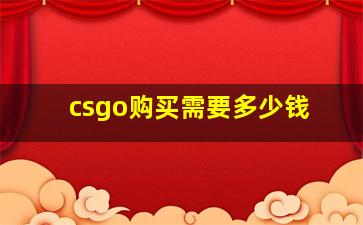 csgo购买需要多少钱