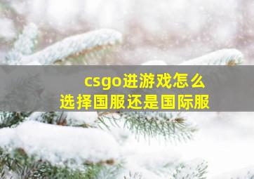 csgo进游戏怎么选择国服还是国际服