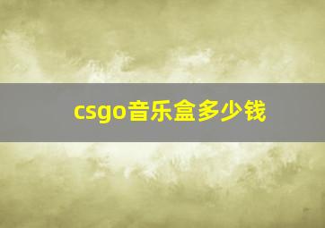 csgo音乐盒多少钱