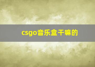 csgo音乐盒干嘛的