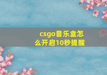 csgo音乐盒怎么开启10秒提醒