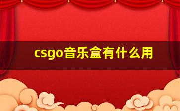 csgo音乐盒有什么用