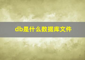 db是什么数据库文件