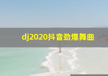 dj2020抖音劲爆舞曲