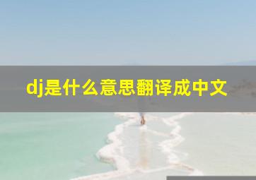 dj是什么意思翻译成中文