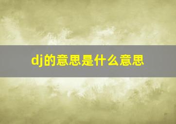 dj的意思是什么意思