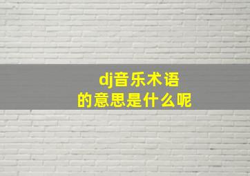 dj音乐术语的意思是什么呢