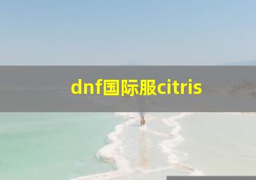 dnf国际服citris