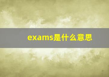 exams是什么意思