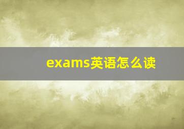 exams英语怎么读