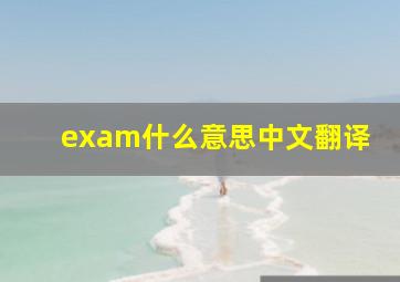 exam什么意思中文翻译