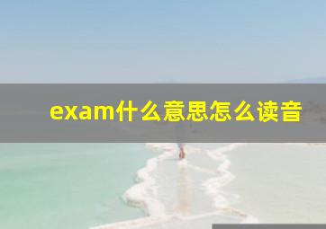 exam什么意思怎么读音