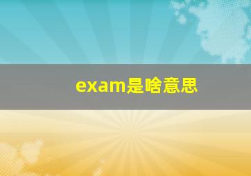 exam是啥意思