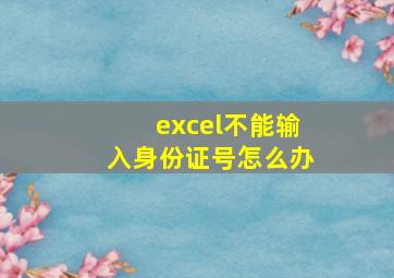 excel不能输入身份证号怎么办