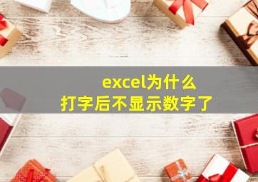 excel为什么打字后不显示数字了