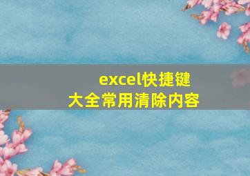 excel快捷键大全常用清除内容