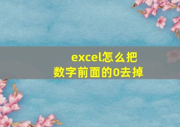 excel怎么把数字前面的0去掉