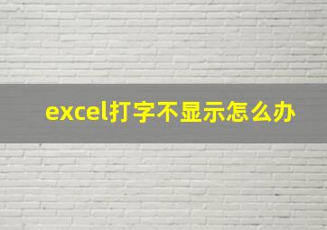 excel打字不显示怎么办