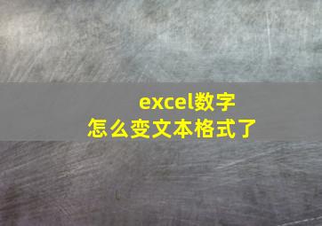 excel数字怎么变文本格式了