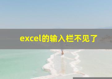 excel的输入栏不见了