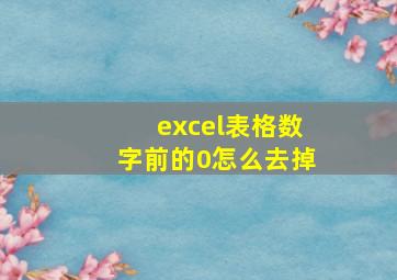 excel表格数字前的0怎么去掉