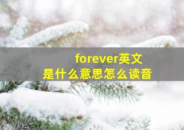 forever英文是什么意思怎么读音