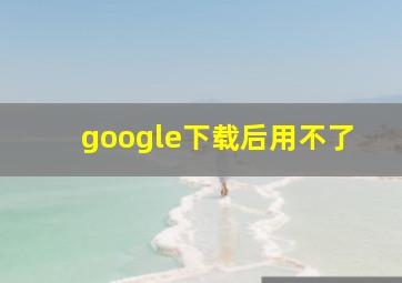 google下载后用不了