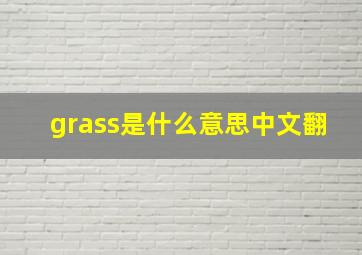 grass是什么意思中文翻