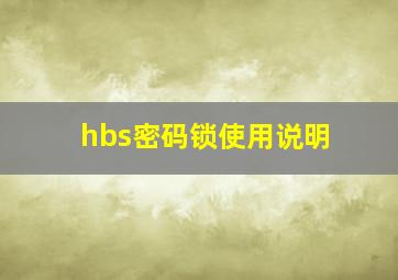 hbs密码锁使用说明