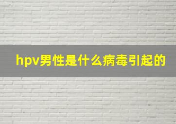 hpv男性是什么病毒引起的