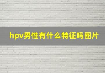 hpv男性有什么特征吗图片