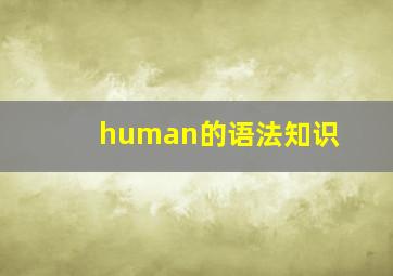 human的语法知识