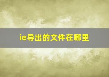 ie导出的文件在哪里