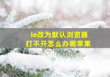 ie改为默认浏览器打不开怎么办呢苹果