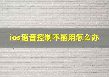 ios语音控制不能用怎么办